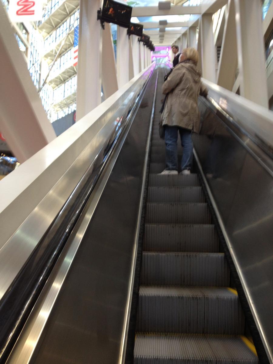 IMG 1088