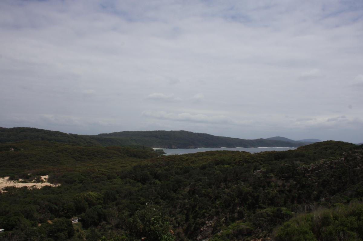 IMG 6558