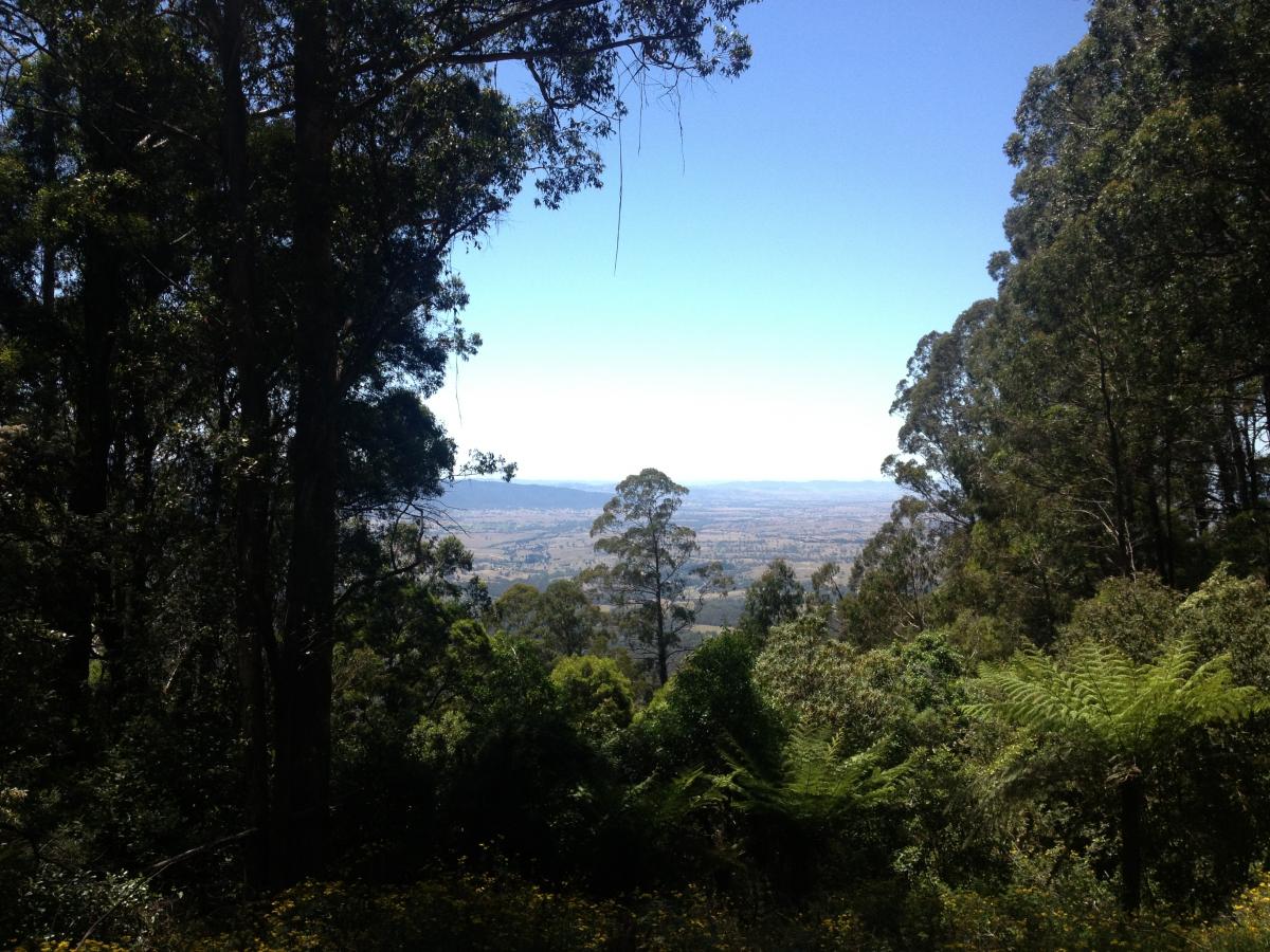 IMG 1749