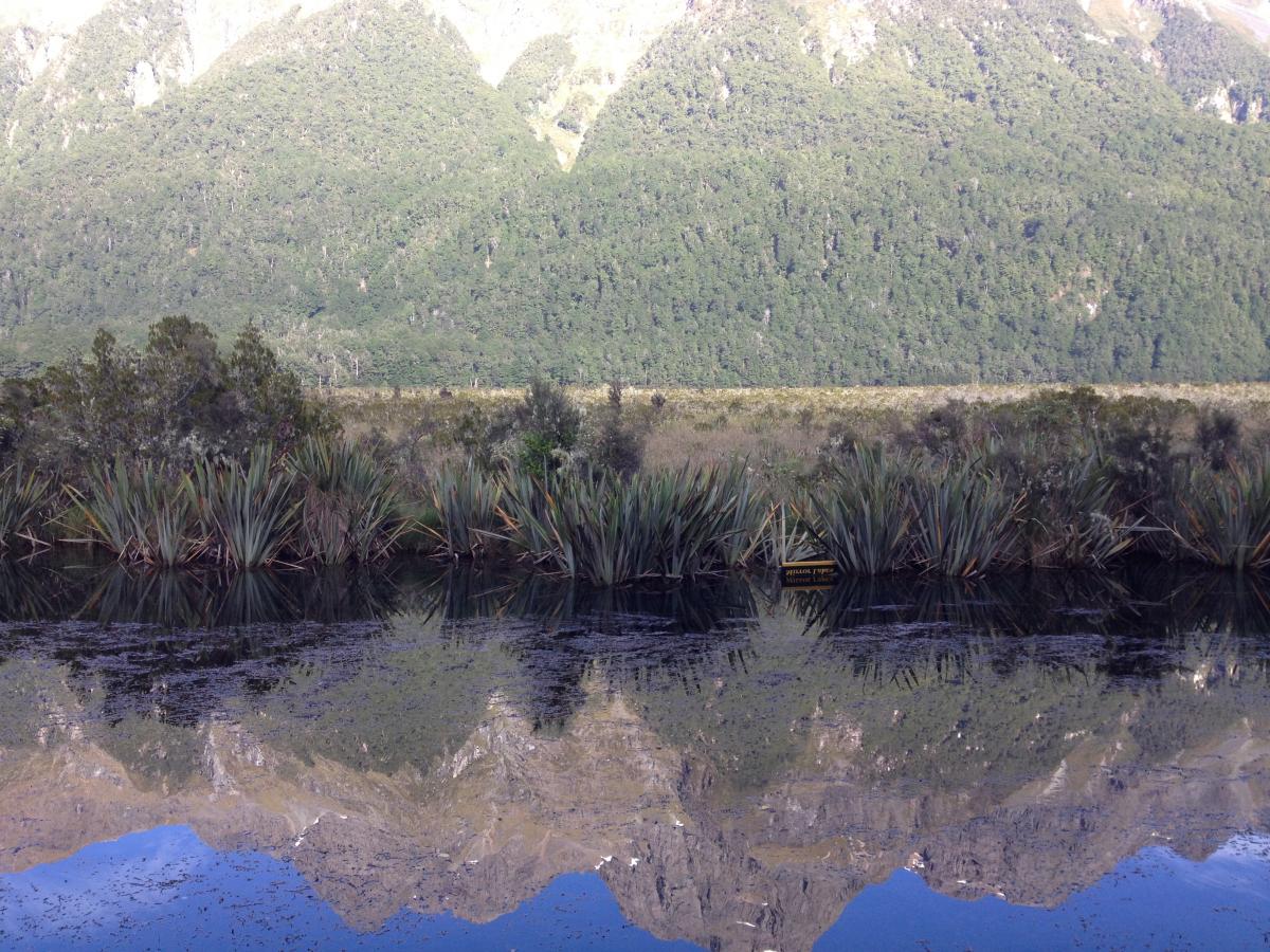 IMG 2031