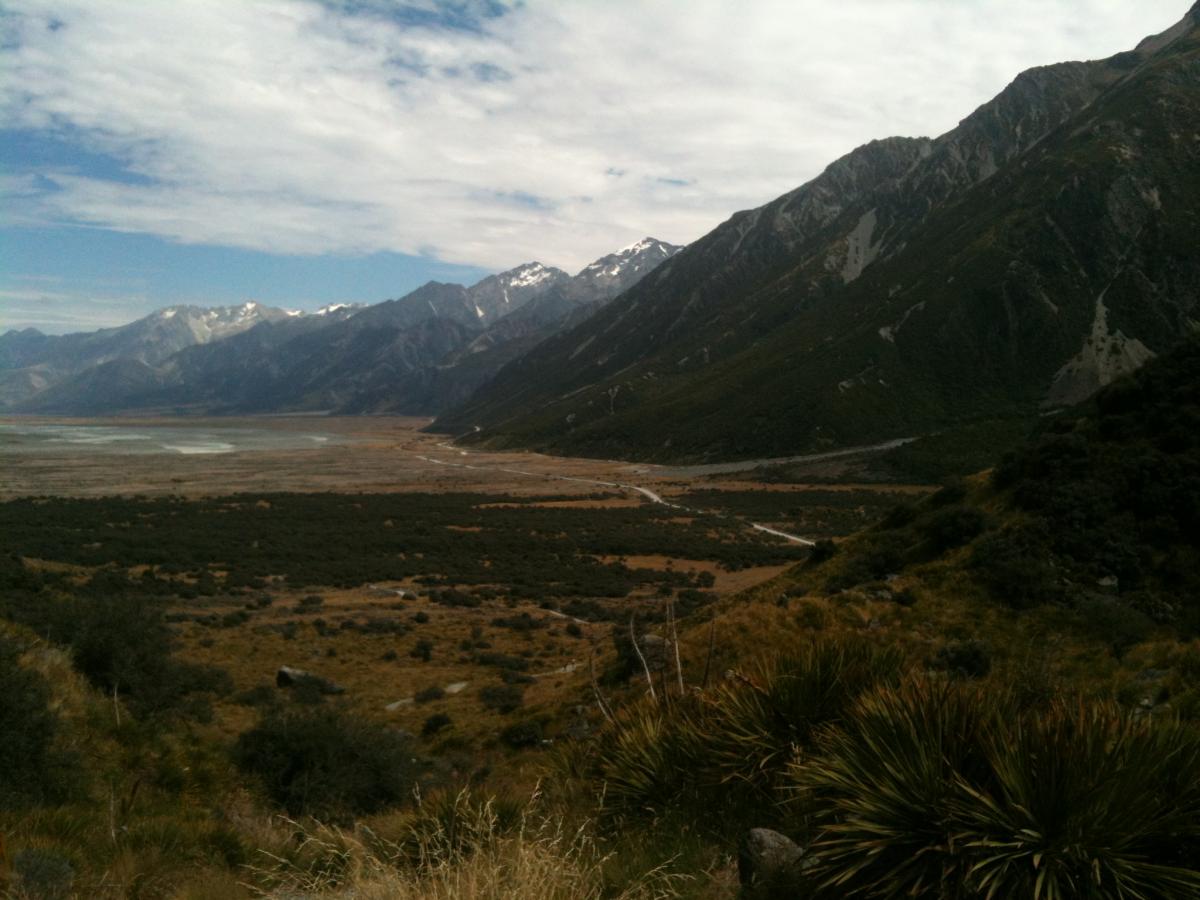 IMG 0099