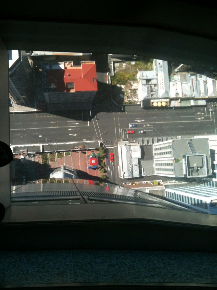 IMG 0101